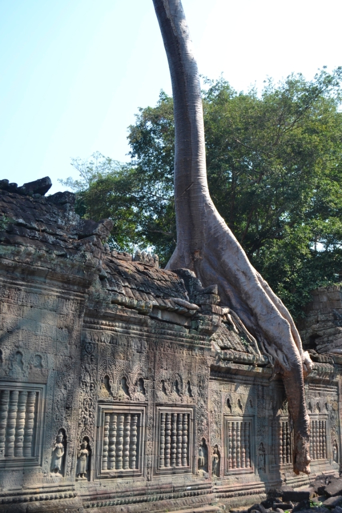 2019-12-camboya-angkor-preah-khan-07