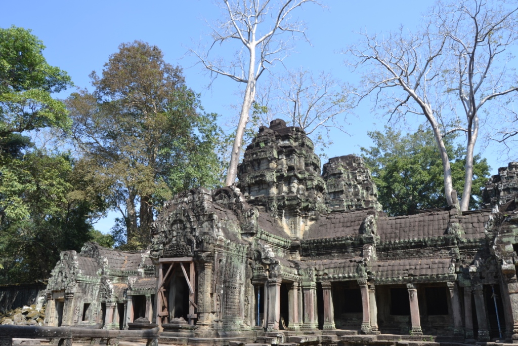 2019-12-camboya-angkor-ta-prohm-16