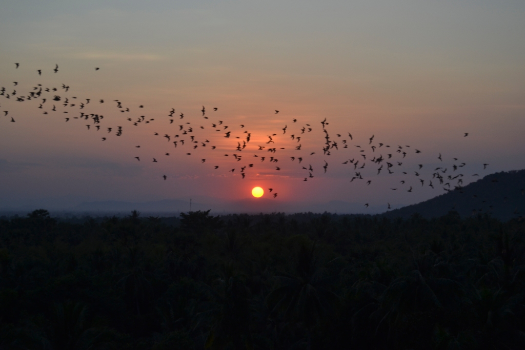 Camboya 2019 – Etapa  2 – Battambang y Banteay Chhmar: Descubriendo el&nbsp;Noroeste