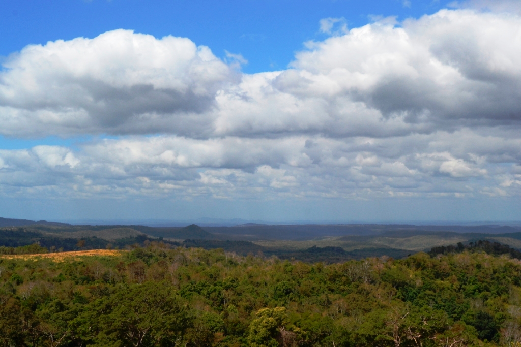 2019-12-camboya-mondulkiri-sea-forest-5