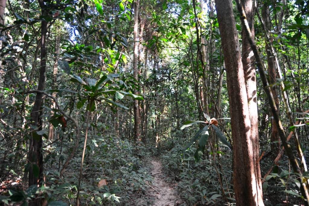 2020-01-camboya-koh-ta-kiev-long-beach-camino-1