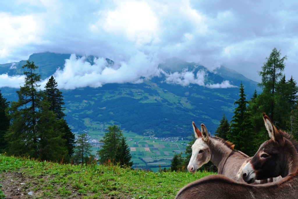 2023-07-liechtenstein-gaflei-01-vistas