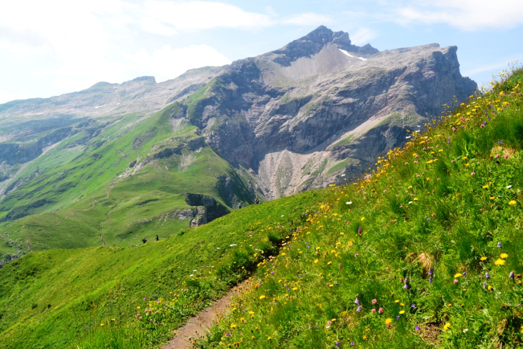 2023-07-liechtenstein-malbun-46-hacia-pfalzerhutte-vistas-naafkopf