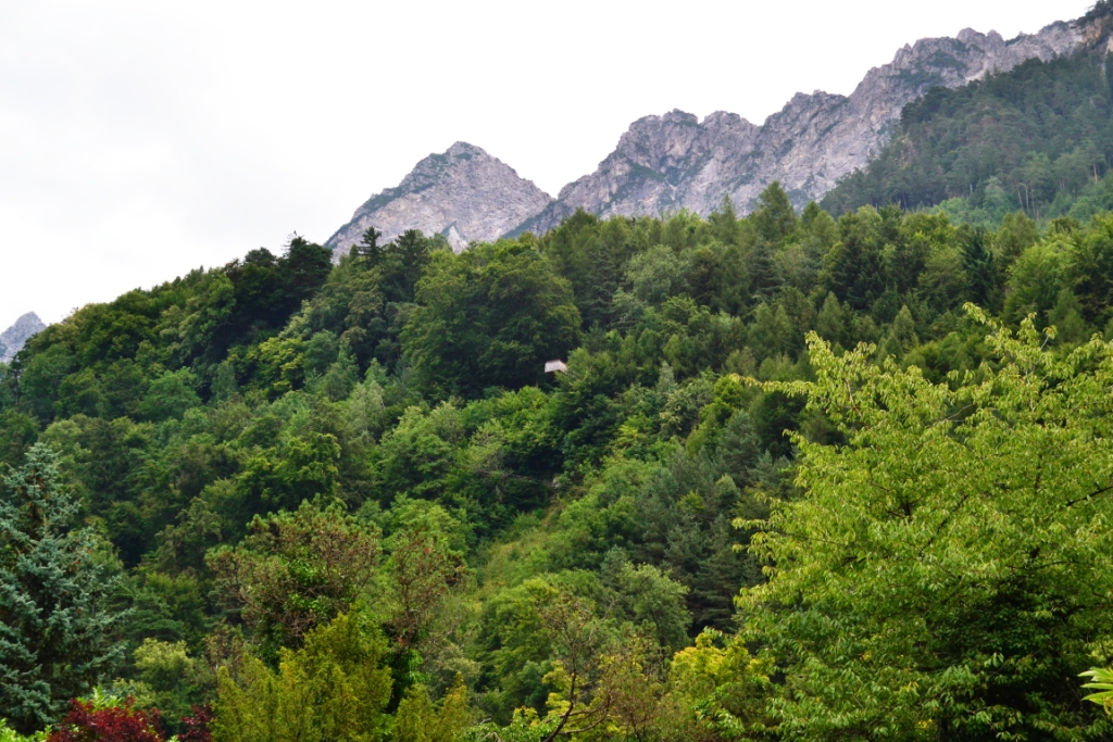 2023-07-liechtenstein-vaduz-01-Aussichtsplattform-Walderlebnispfad