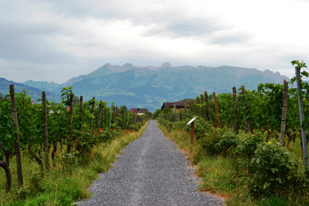 2023-07-liechtenstein-vaduz-17-Cellars-of-the-Prince-of-Liechtenstein